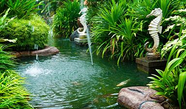 Landscape Designer in Pinecrest, Key Biscayne, Kendall, Coral Gables and Surrounding Areas